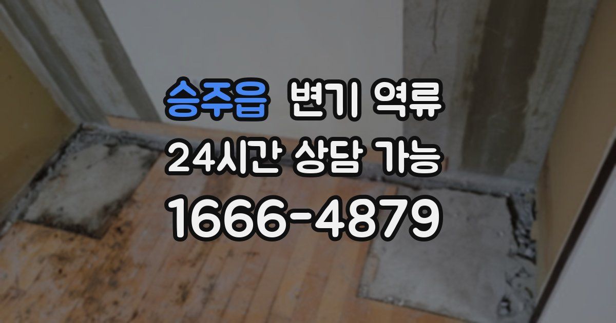 승주읍 변기 역류