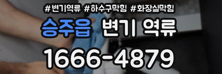 승주읍 변기 역류