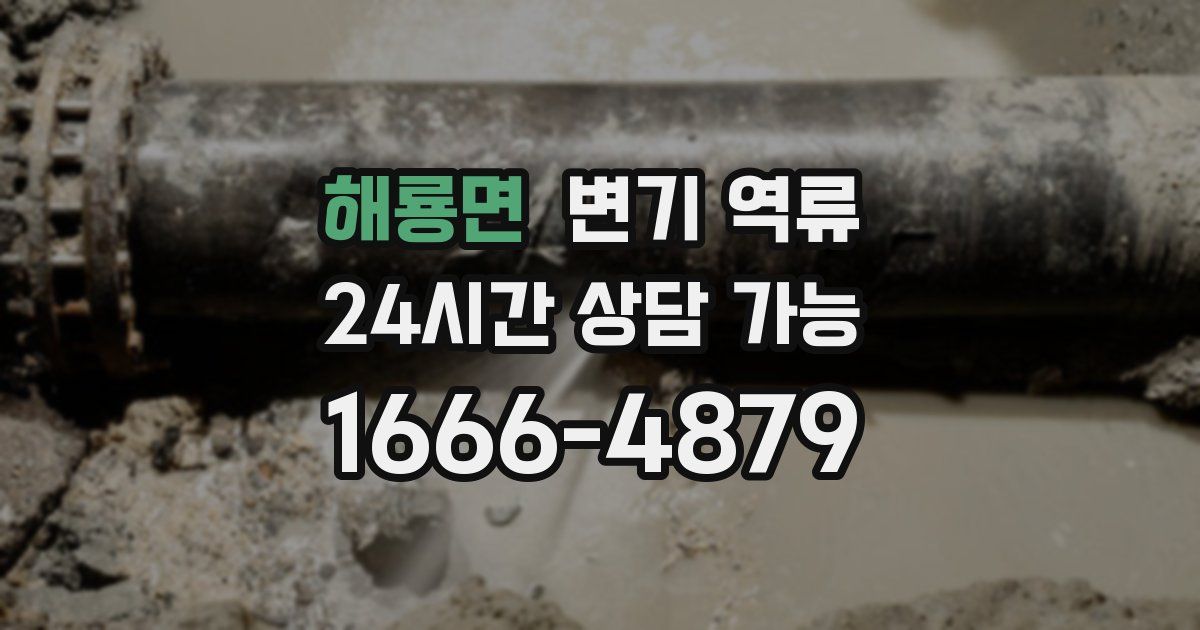 해룡면 변기 역류