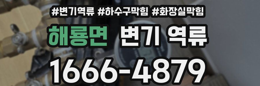 해룡면 변기 역류
