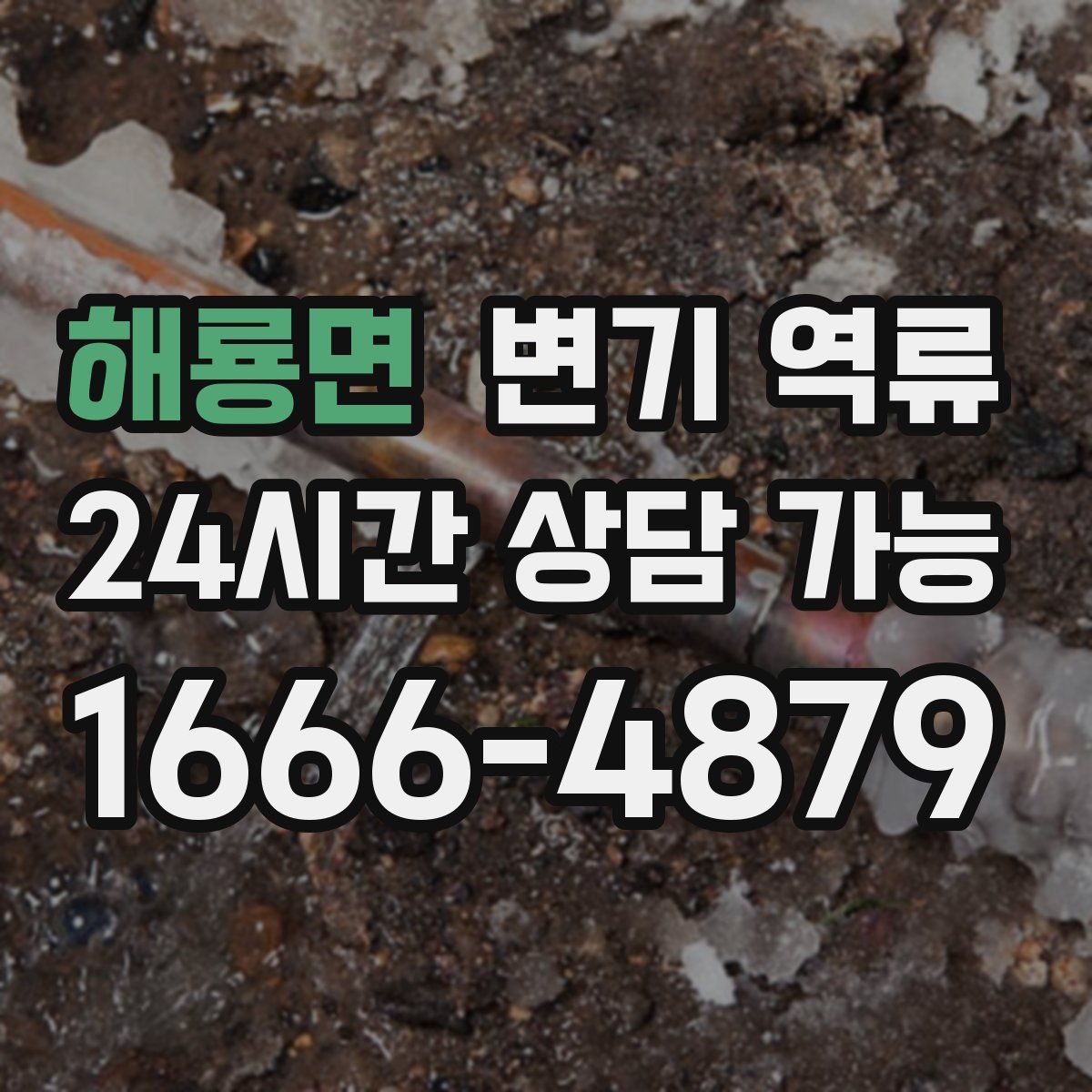 해룡면 변기 역류