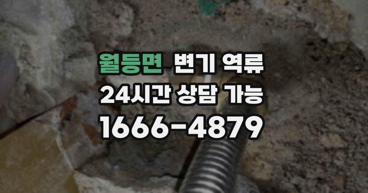월등면 변기 역류