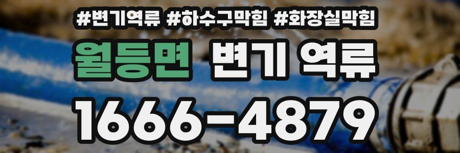 월등면 변기 역류