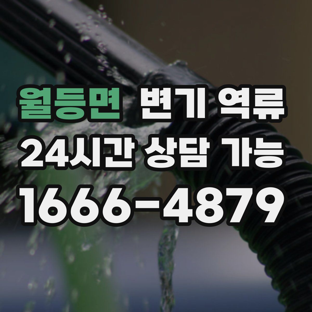 월등면 변기 역류