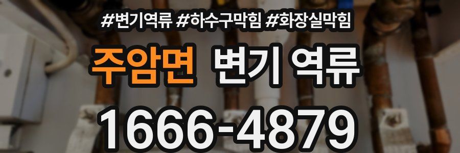 주암면 변기 역류