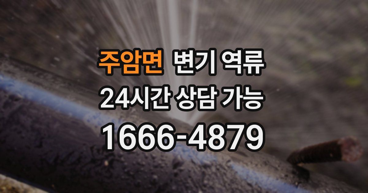 주암면 변기 역류