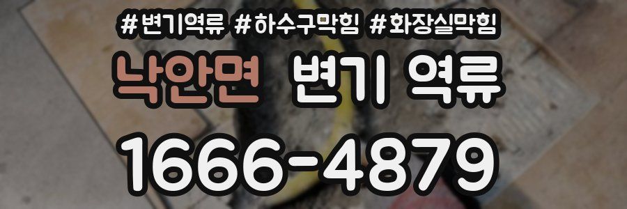 낙안면 변기 역류