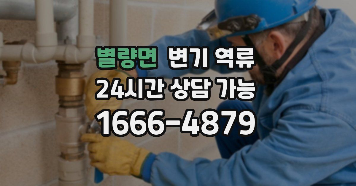 별량면 변기 역류