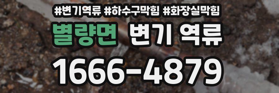 별량면 변기 역류