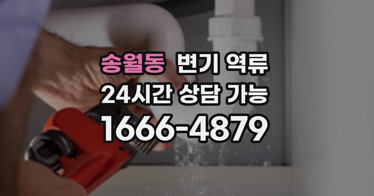 송월동 변기 역류