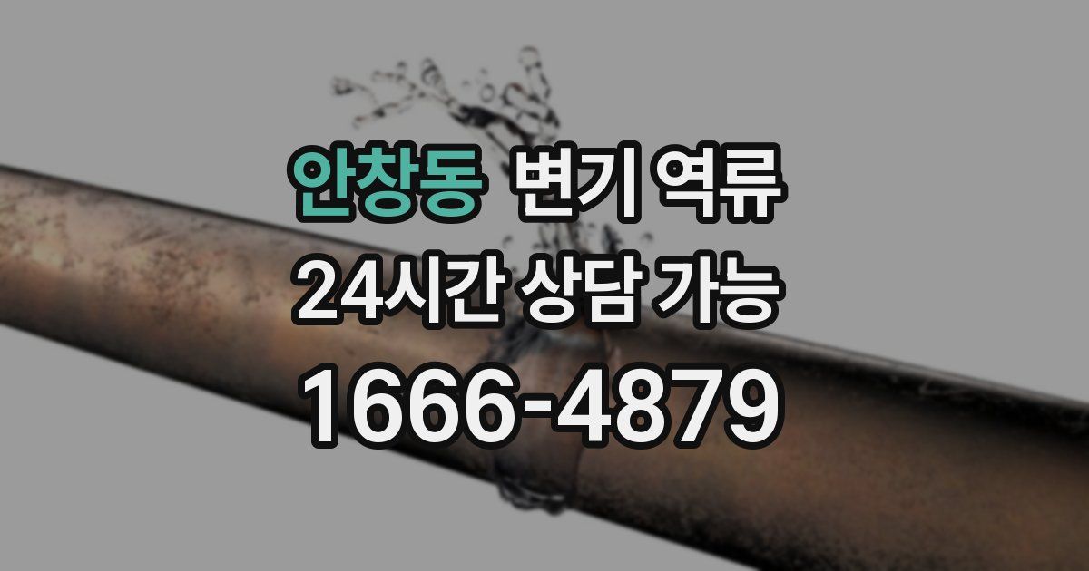 안창동 변기 역류