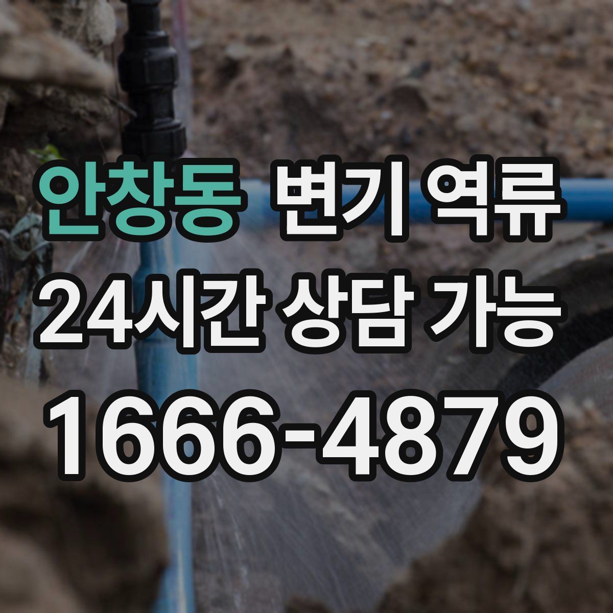 안창동 변기 역류