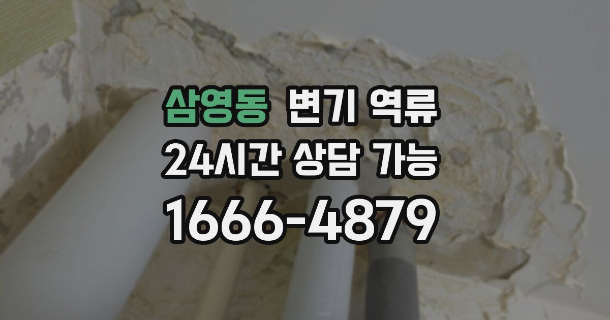 삼영동 변기 역류