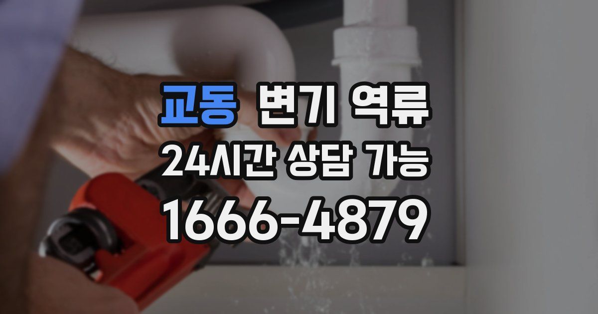 교동 변기 역류