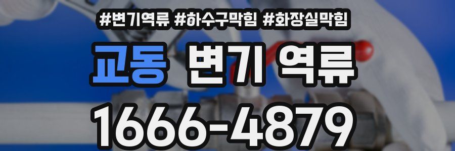 교동 변기 역류