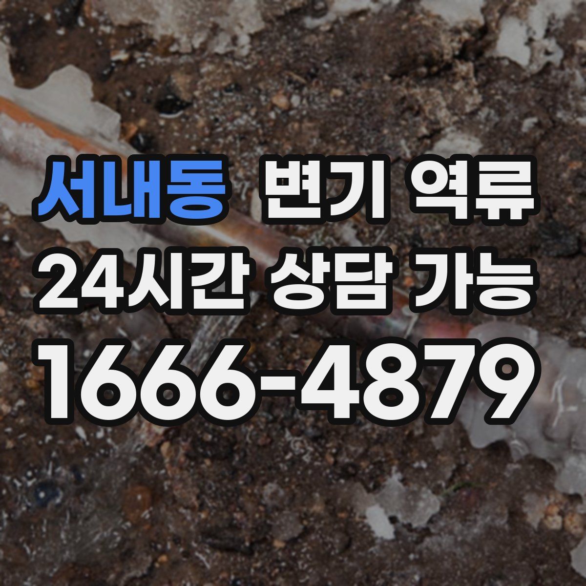 서내동 변기 역류