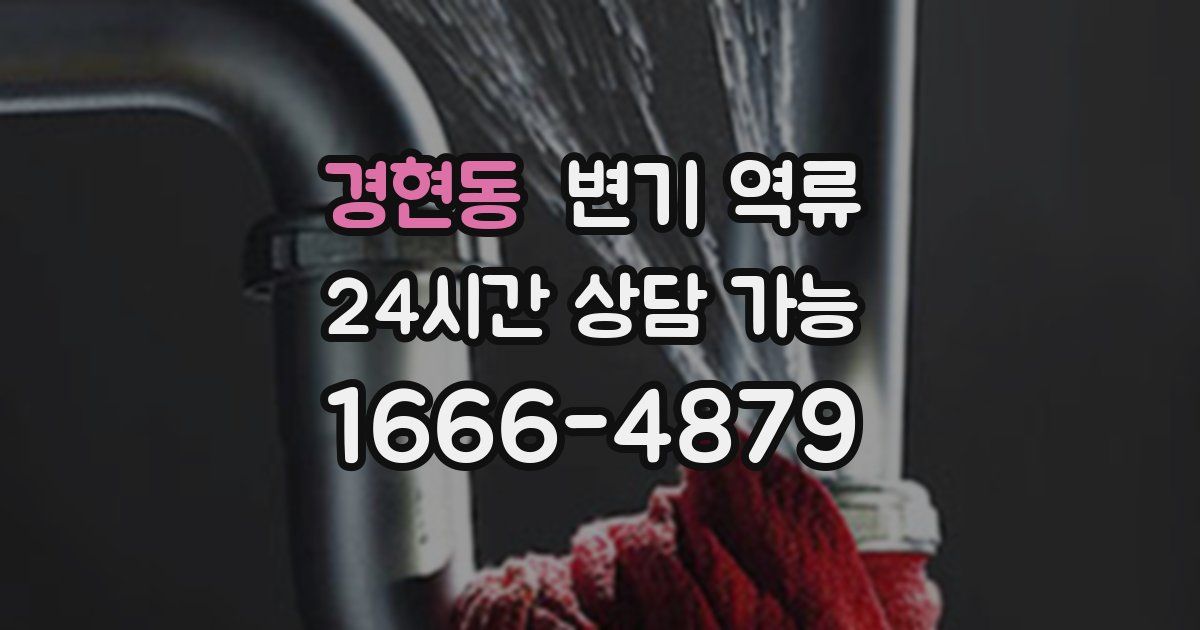 경현동 변기 역류