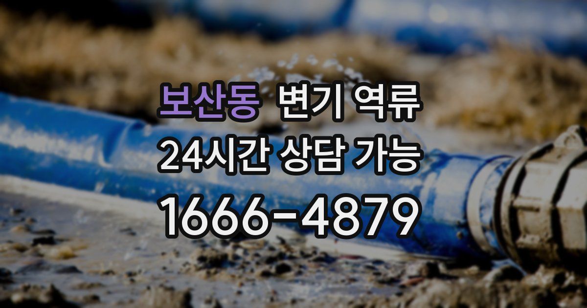 보산동 변기 역류