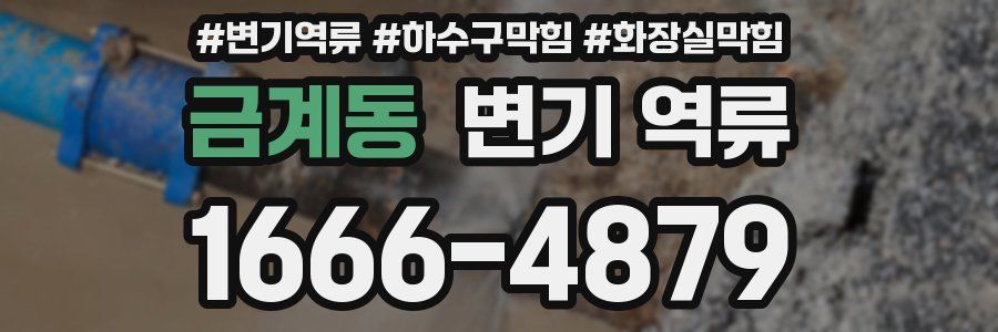 금계동 변기 역류