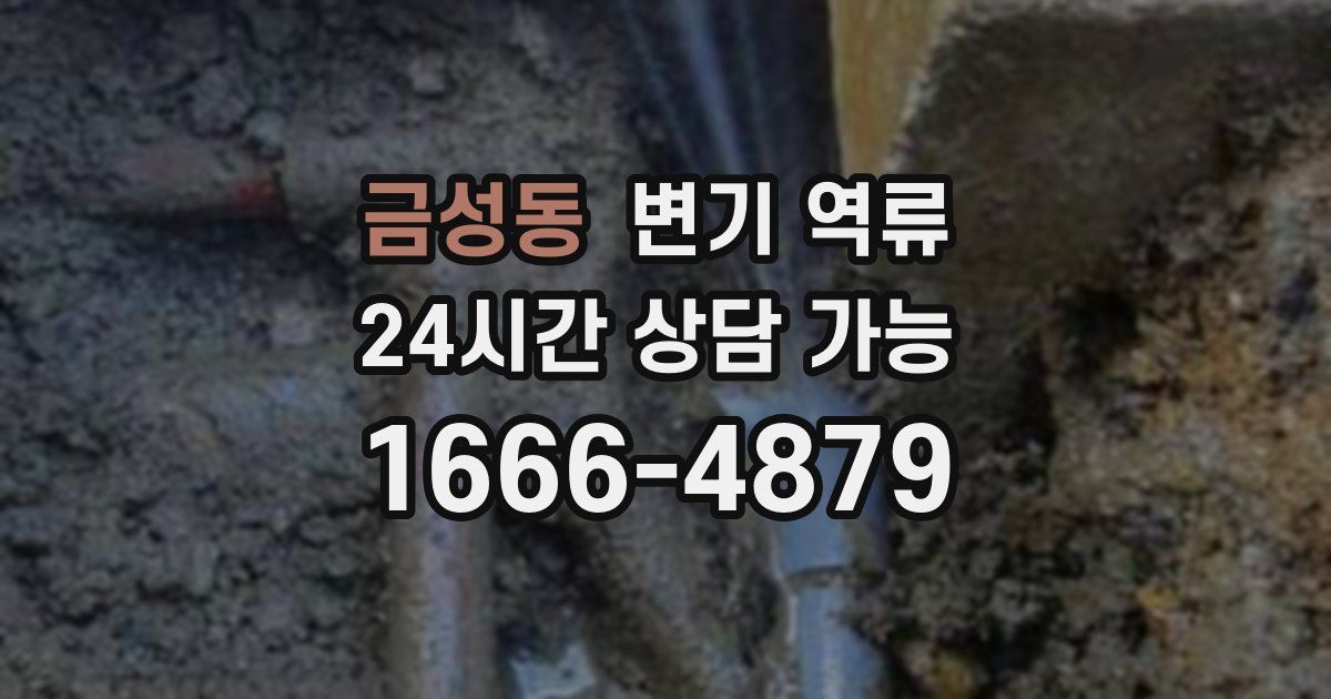 금성동 변기 역류