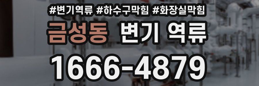 금성동 변기 역류