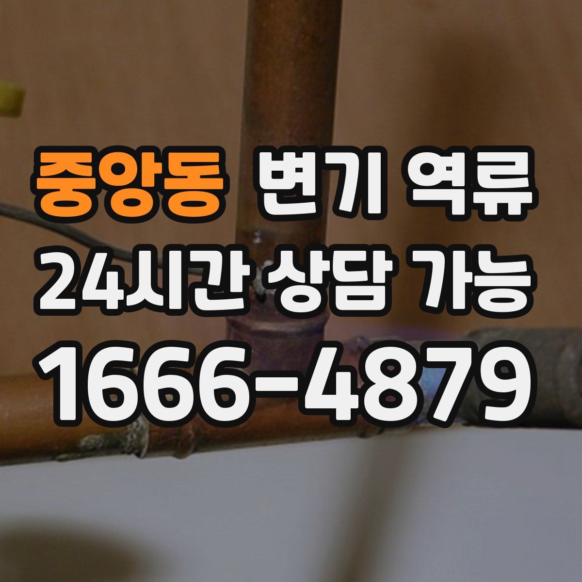 중앙동 변기 역류