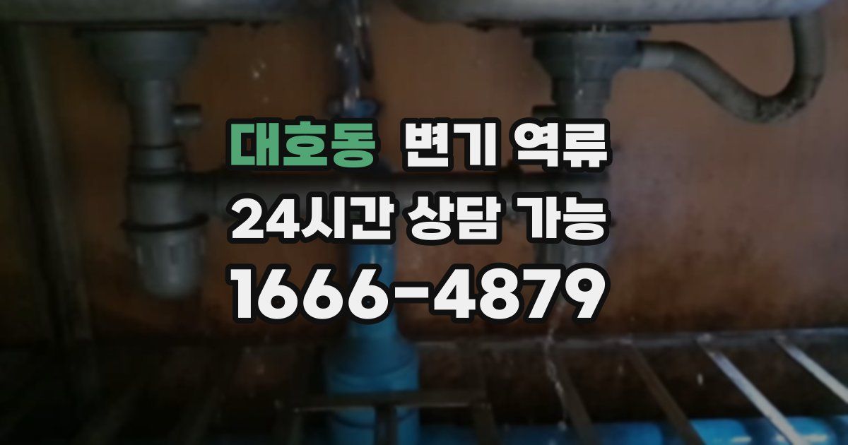 대호동 변기 역류