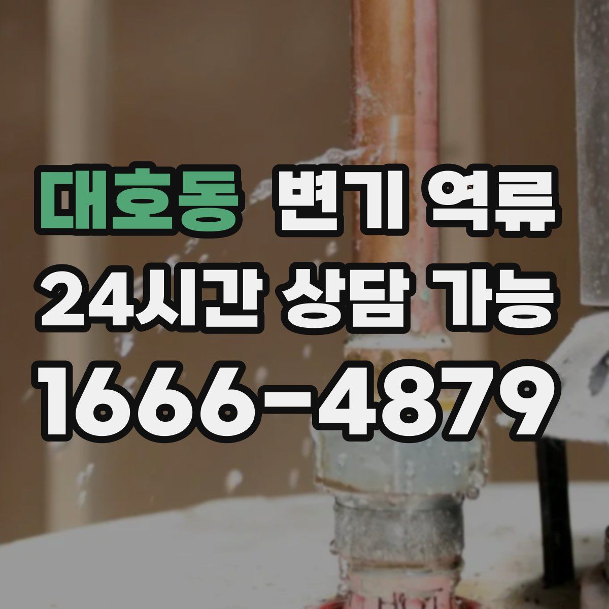 대호동 변기 역류