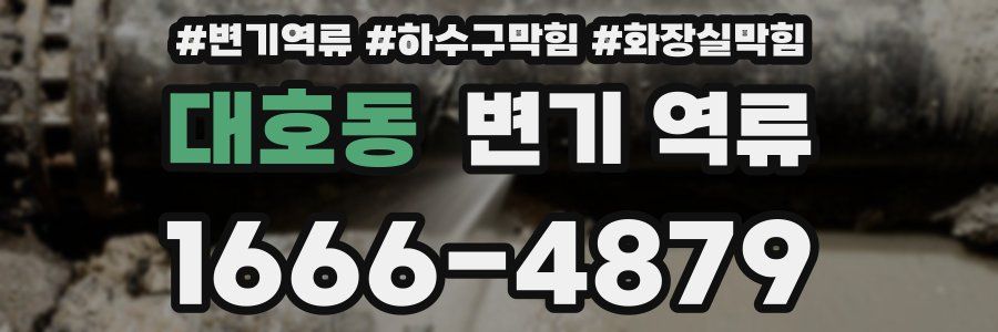 대호동 변기 역류