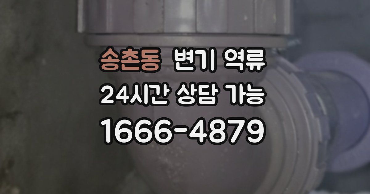 송촌동 변기 역류