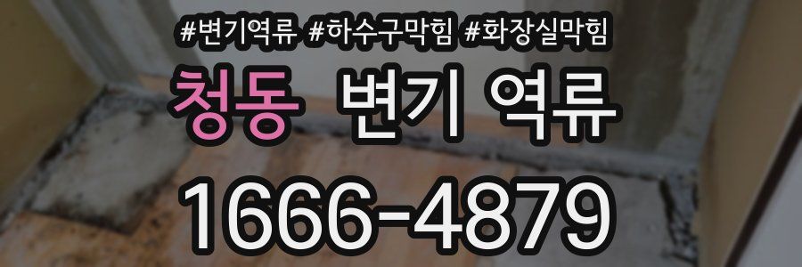 청동 변기 역류