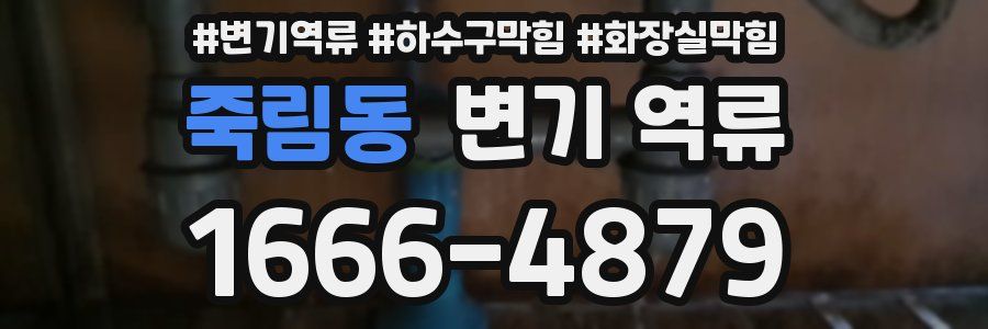 죽림동 변기 역류