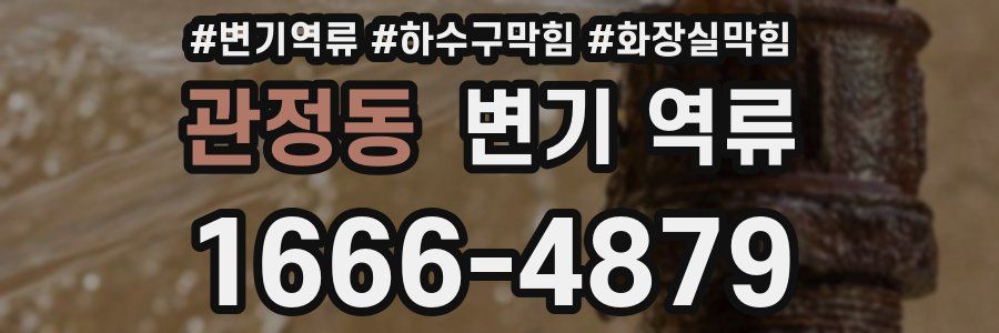 관정동 변기 역류