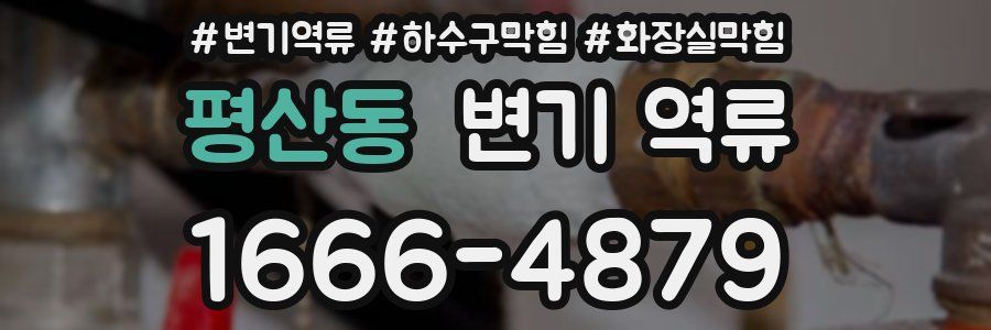 평산동 변기 역류