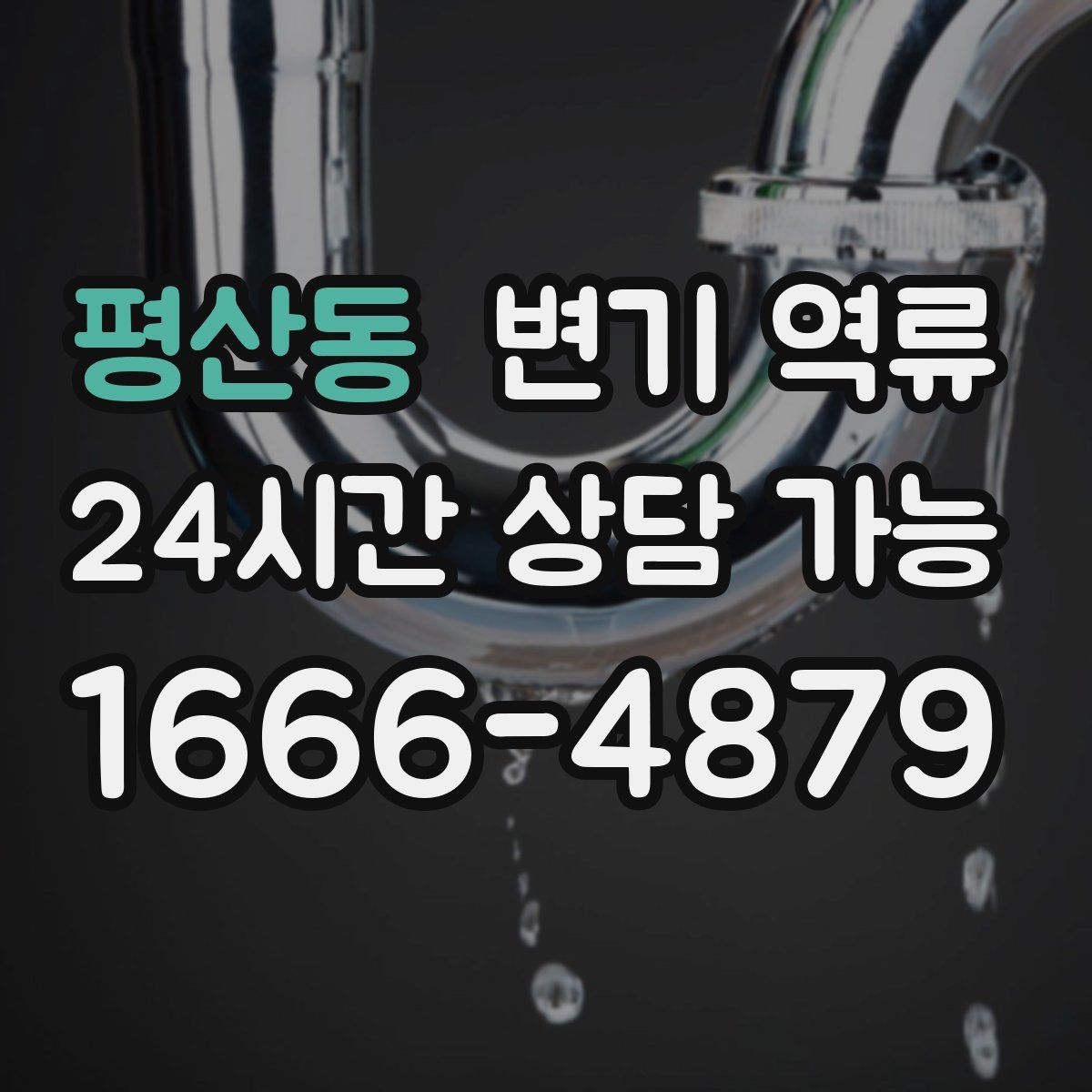 평산동 변기 역류