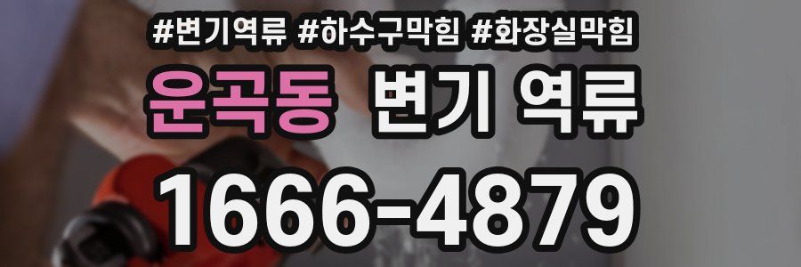 운곡동 변기 역류