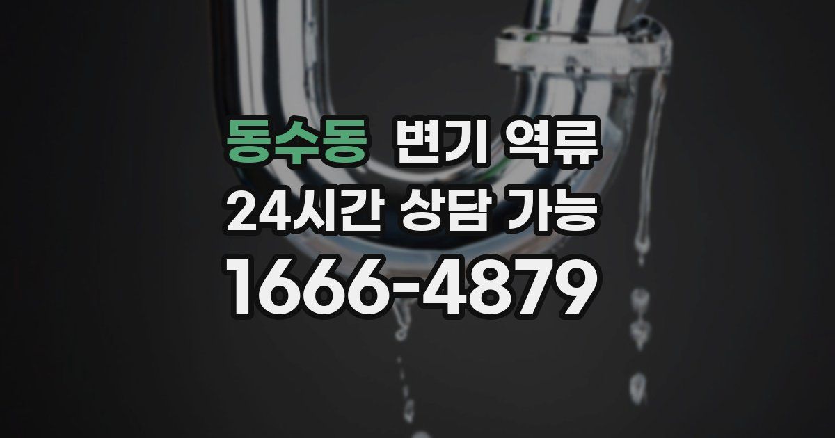 동수동 변기 역류