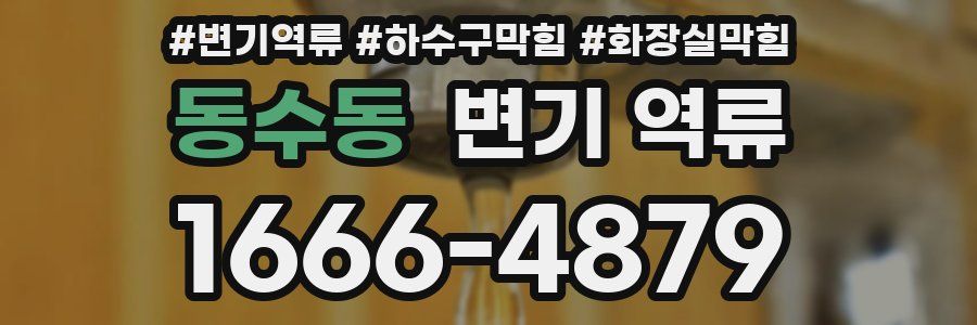 동수동 변기 역류