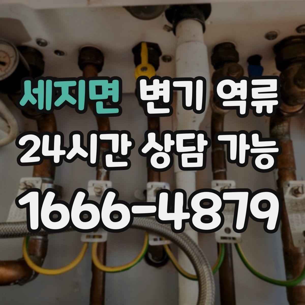 세지면 변기 역류 초기 대응이 피해를 줄이는 가장 빠른 방법