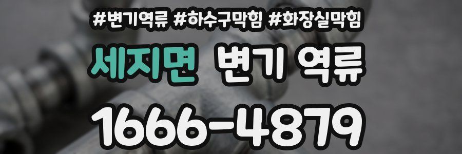 세지면 변기 역류