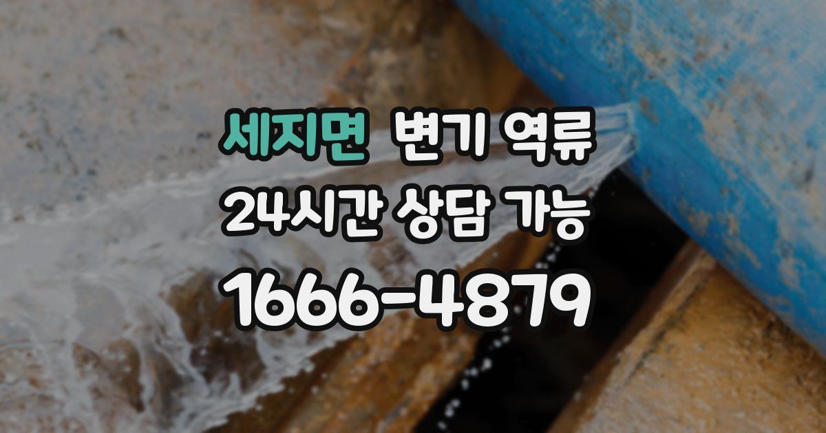 세지면 변기 역류