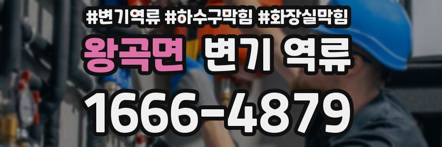 왕곡면 변기 역류