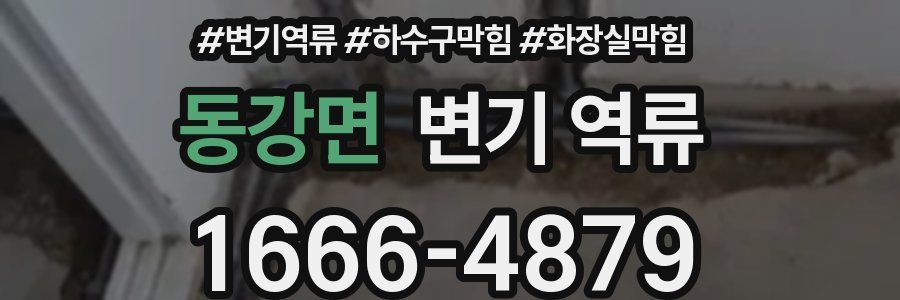 동강면 변기 역류