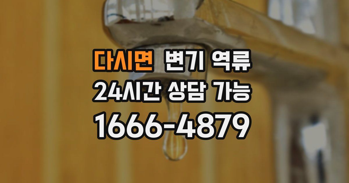 다시면 변기 역류