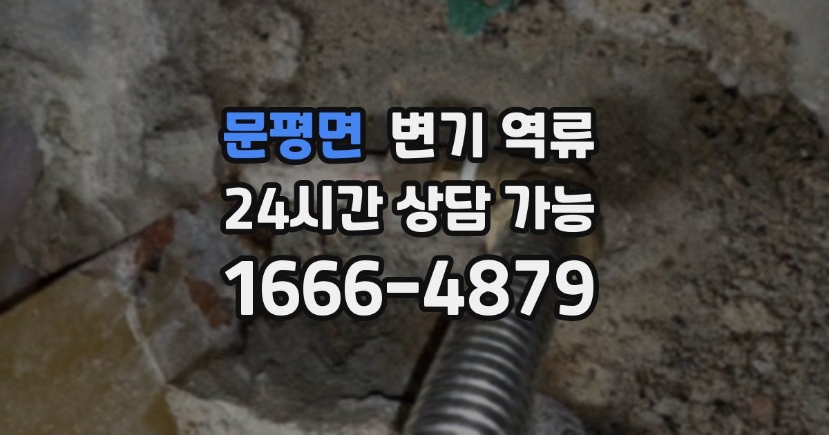 문평면 변기 역류