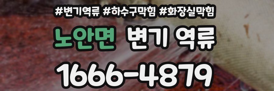 노안면 변기 역류