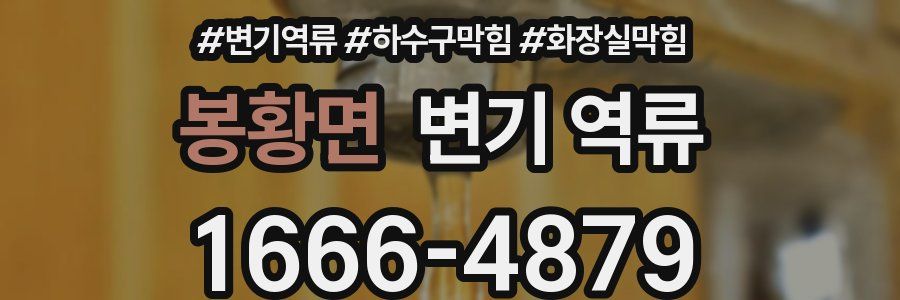 봉황면 변기 역류