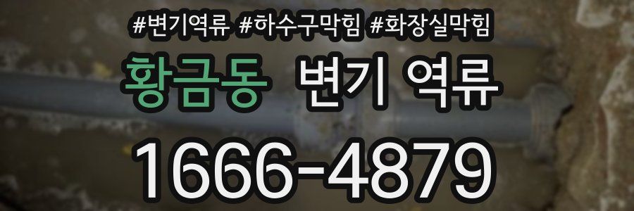 황금동 변기 역류