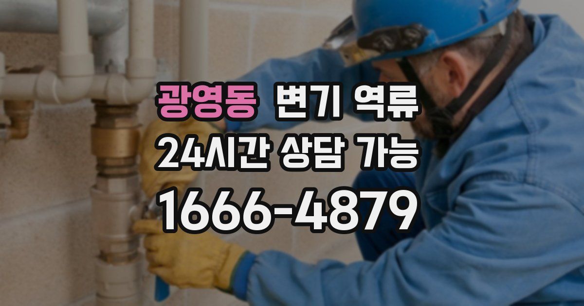 광영동 변기 역류