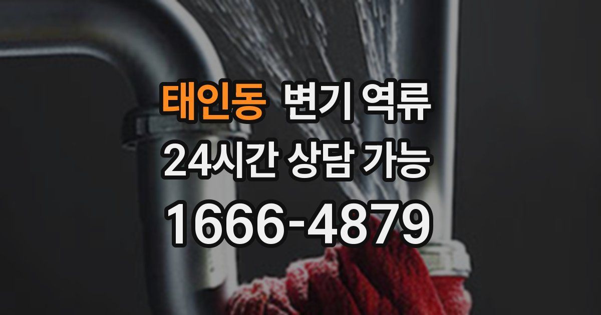 태인동 변기 역류